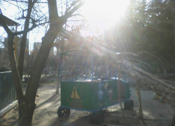  В Волгодонске дерево упало на игрушечный паровозик со Смешариками в детском саду