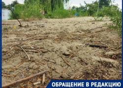 «Это позор для Волгодонска»: главный городской пляж превратился в свалку с мертвыми животными и ветками 