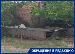 Котокормилица развела во дворе многоэтажки жуткую антисанитарию 