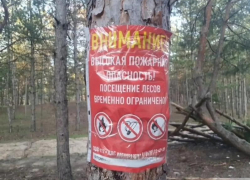 До 2 июля нельзя: волгодонцам запретили ходить в леса