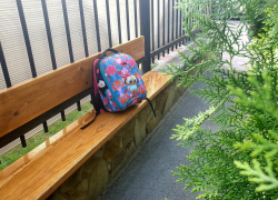 Два года тюрьмы грозит волгодонцу за кражу портфеля с учебниками у алуштинского школьника