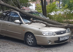Пока волгодонец обедал его машину изуродовало упавшее сухое дерево 