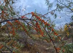 Сегодня в Волгодонске будет ясный день