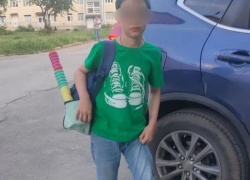 Стая собак напала на 10-летнего мальчика на муниципальном пляже Волгодонска, ребенок ранен