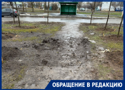 «Зеленое» преображение или грязевое бедствие?: жители Волгодонска требуют навести порядок после высадки деревьев