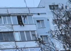 «На 9 этаже присел на подоконник, посучил ногами и громко закричал»: странный мужчина ужаснул волгодонцев