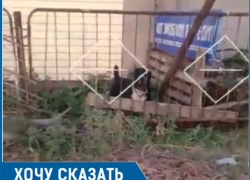 За этим сопливым забором сидит собака-убийца, - волгодончанка