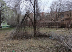 Циклон «Ольга» наломал дров, но не сломил Волгодонск: с территорий города ликвидировано 31,5 тысячи кубометров порубочных остатков