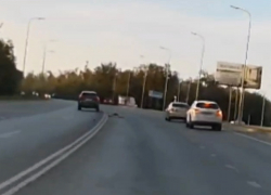 Через две сплошные по встречке объехал на скорости дохлую собаку: чудеса на виражах