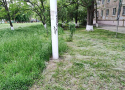 Волгодонск – в лидерах по количеству штрафов за несвоевременный покос травы в Ростовской области