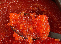 Икра красная и черная, крабы, креветки и рыба: за морскими деликатесами к Новому году приглашает «Берег Вкуса»