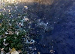 Бьющий из-под земли «гейзер» затопил пешеходную дорожку на Энтузиастов в Волгодонске 