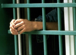 Братья Форцу и их сообщник проведут более 40 лет за решёткой