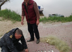Забудьте о сетях: жителю Цимлянска может грозить тюрьма из-за незаконной ловли рыбы