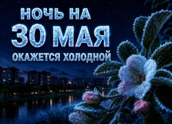 Температура может опуститься ниже нуля: внезапные заморозки ожидаются в Волгодонске под конец весны