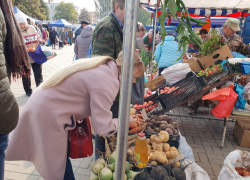 Сколько Волгодонск сможет прожить на собственной картошке
