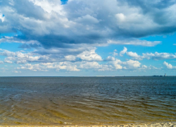 «Много риса и немного атома»: кто больше всего забирает воды из Цимлянского водохранилища 