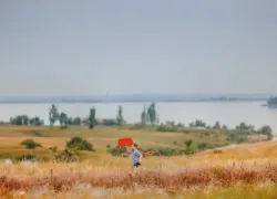 Юный патриот из Волгодонска стал финалистом Всероссийского конкурса изобразительного искусства