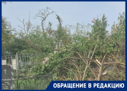 И горожане, и коммунальщики: кто виноват в удручающем состоянии «старого кладбища» в Волгодонске
