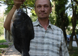 Волгодонец поймал зубастую пиранью рядом с пляжем около ТРЦ