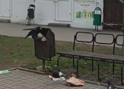 Нахальная ворона потрошит урны и бросается мусором: волгодонцы сняли преступления дерзкой птички на «Тридцатнике»