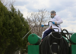 Повторная противоклещевая обработка Волгодонска запланирована на конец августа