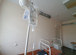 На 4-летнего ребенка напала собака на дачах в Волгодонске: малыш в больнице 