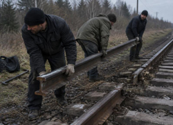 За кражу железнодорожных рельс банда воров предстанет перед судом в Зимовниковском районе 