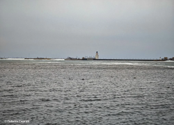 Уточки в море, берег в снегу, но весна все ближе: душевный видеорепортаж Сергея Гибкова с берега водохранилища