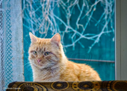 Сегодняшний день в Волгодонске будет неприятно холодным и серым