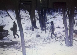 В Волгодонском районе лесоруб-нелегал спилил две акации и попал под уголовное дело