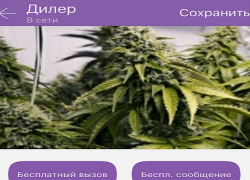 Жителям Волгодонска через мобильное приложение Viber приходит реклама наркотиков