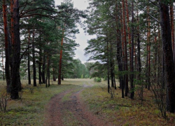 С 6 апреля в Волгодонске начнется пожароопасный сезон