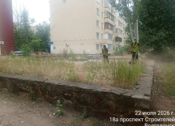 Траву покосили, мусор убрали: коммунальщики привели в порядок территорию за сквером «Казак»