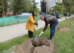 Андрей Иванов посадил дерево на окраине Волгодонска