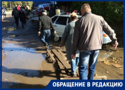 Волгодонцы сравнили дорогу к центральному рынку со знаменитой басней про баранов