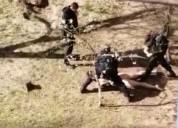 Издававший страшные звуки голый мужчина был задержан в Волгодонске 