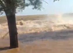 Цимлянское водохранилище затопило дачные участки в садоводстве «Мирный атом»