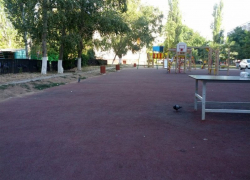 В Волгодонске пенсионеры спилили семь лавочек на детской площадке - малыши мешали им смотреть телевизор