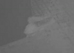 «Привидения» разнесли витрину суши-точки в Цимлянске и попали на видео