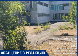 Шприцы и бульбуляторы покрывают «Юнону»: как легендарная гимназия Волгодонска превратилась в притон для наркоманов
