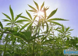 Житель Волгодонска продавал наркотики на городском причале