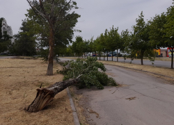 Волгодонцев предупредили о вероятной пыльной буре в среду