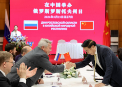 Губернатор Голубев допустил участие китайских инвесторов в восстановлении аэропорта «Волгодонск»