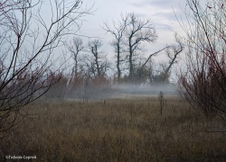 Облачно, но осадков нет: о погоде в Волгодонске в четверг