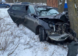 Не справилась с управлением: автомобиль влетел в дерево в Цимлянске 