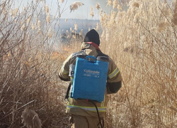 С 1 мая в Волгодонске будет установлен особый противопожарный режим