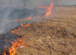 Возле жилых домов на Песчаной разгорелся пожар 
