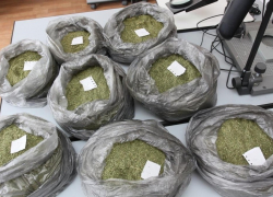 В Волгодонске мужчина хранил на даче марихуану