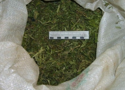 В Волгодонске обнаружен гараж с пятью килограммами марихуаны